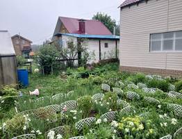 Овощ, который убивает ваши почки: в Европе от него давно отказались и больше не едят