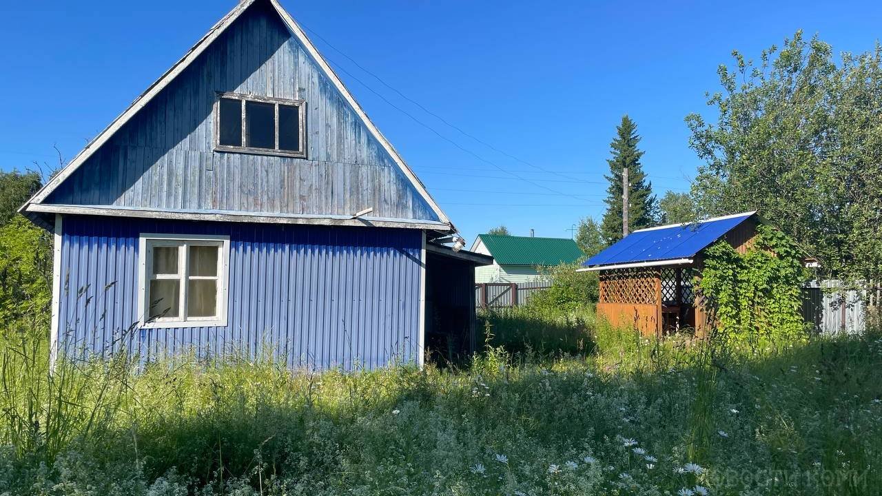 Главная картинка новости: Лишат земли: всех владельцев дачных участков ждет новое жесткое правило с 1 августа