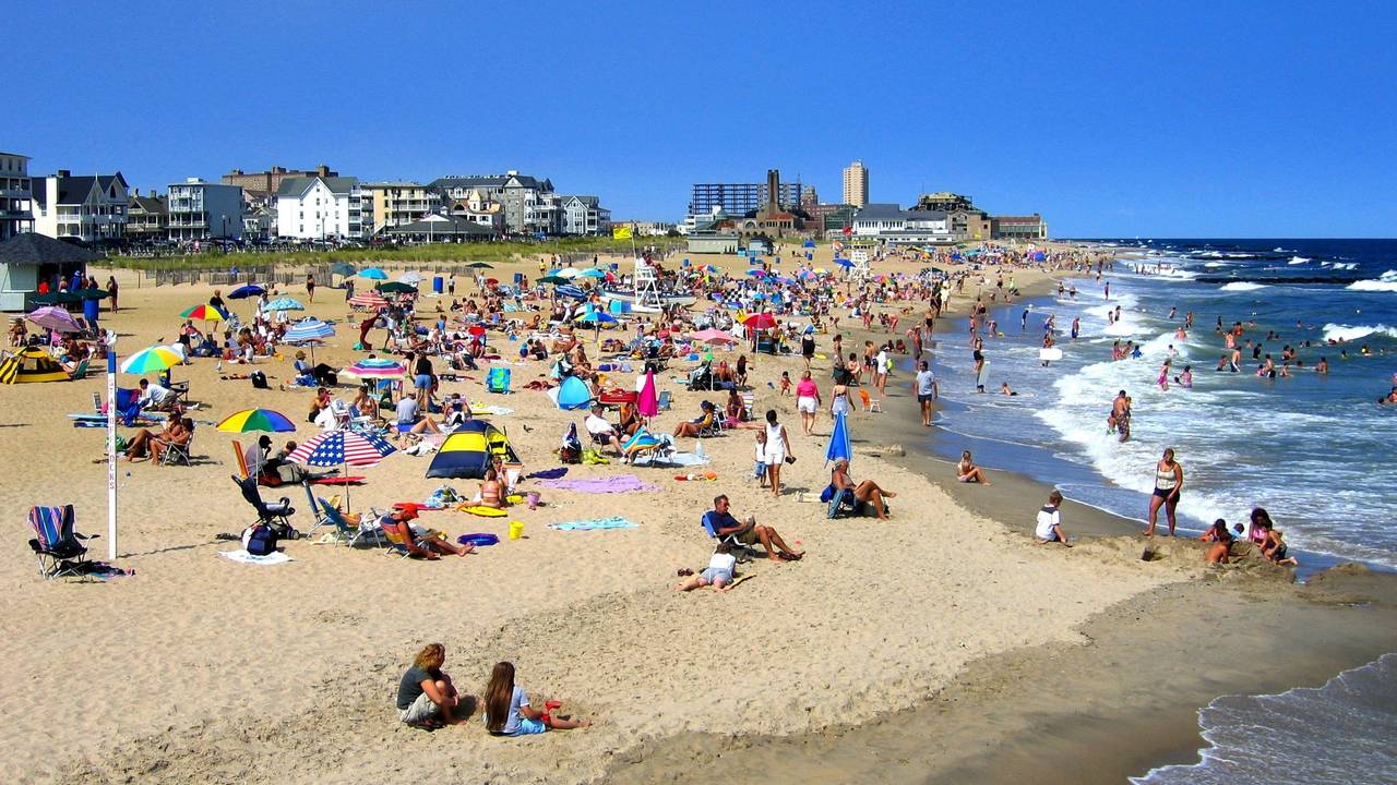 Главная картинка новости: Путешествие к Черному морю может обернуться кошмаром: Туристка поделилась впечатлениями об отдыхе в Абхазии