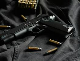 Сотрудники Росгвардии изъяли у жителей Коми еще 10 единиц оружия