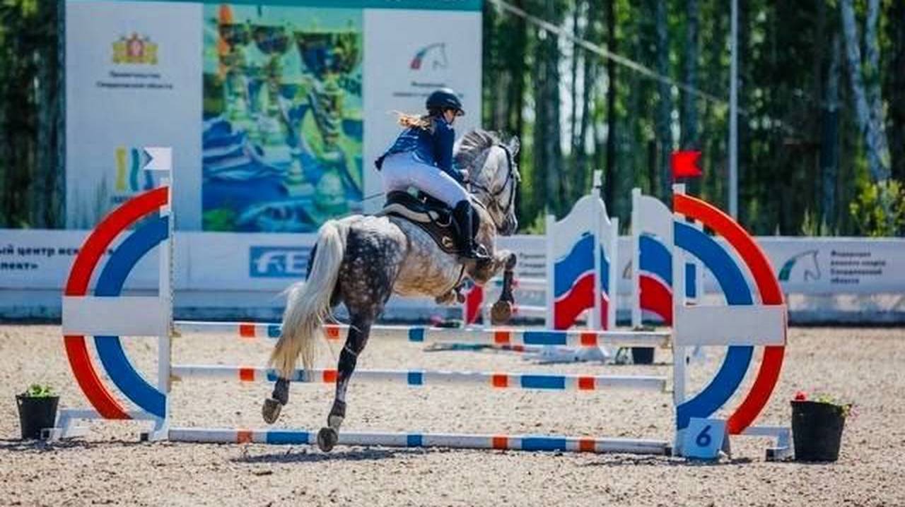 Главная картинка новости: Спортсменки Коми одержали победы в Свердловской области по конному спорту
