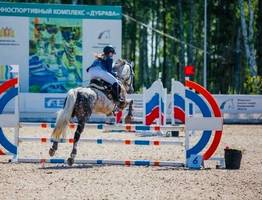 Спортсменки Коми одержали победы в Свердловской области по конному спорту