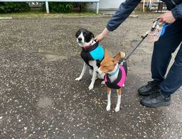 Синоптики пообещали россиянам сложное завершение лета: что нас ждет в августе?