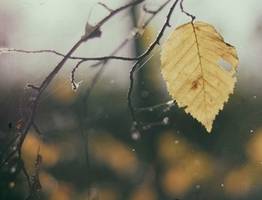 Сентябрь ударит раньше срока: температура рухнет до 10 градусов