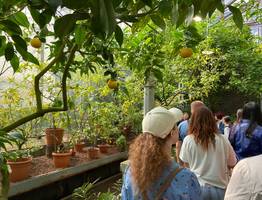 «Так нехорошо с гостями поступать»: туристка честно рассказала о плюсах и минусах отдыха в Грузии