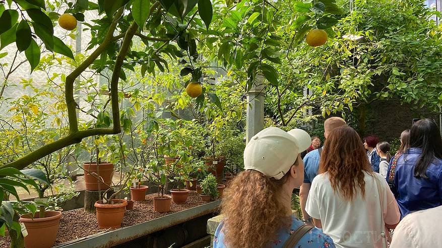 Главная картинка новости: «Так нехорошо с гостями поступать»: туристка честно рассказала о плюсах и минусах отдыха в Грузии