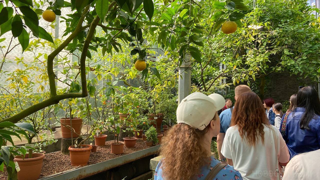 Главная картинка новости: «Так нехорошо с гостями поступать»: туристка честно рассказала о плюсах и минусах отдыха в Грузии