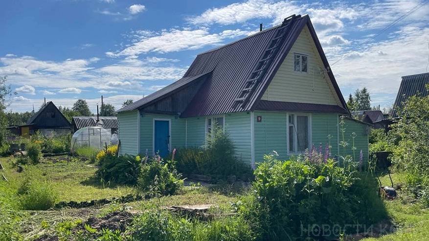 Главная картинка новости: Россиян предупредили об огромных штрафах за мяту и шалфей. Дачники могут даже попасть за решетку