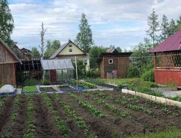 Освоение земли: принят новый закон, вводящий штраф для дачников до 50 тысяч