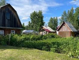 Будет действовать жесткий запрет с 12 августа: всех, у кого есть дача, предупредили о штрафах до 50 тысяч