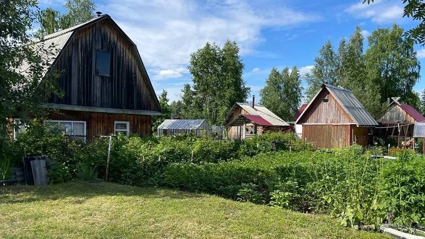 Главная картинка новости: Будет действовать жесткий запрет с 12 августа: всех, у кого есть дача, предупредили о штрафах до 50 тысяч