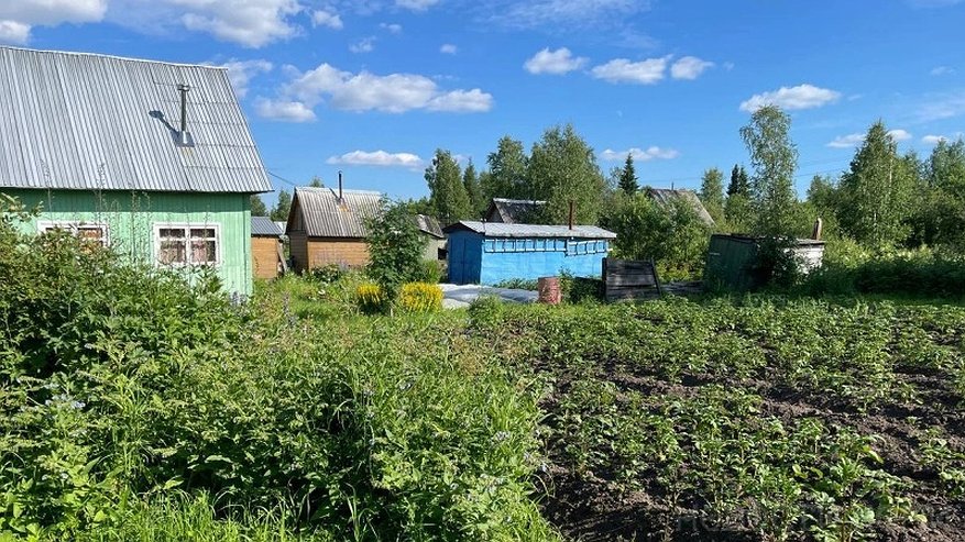 Указ подписан, решено: баню теперь придется снести — затронет всех, у кого есть дача или участок