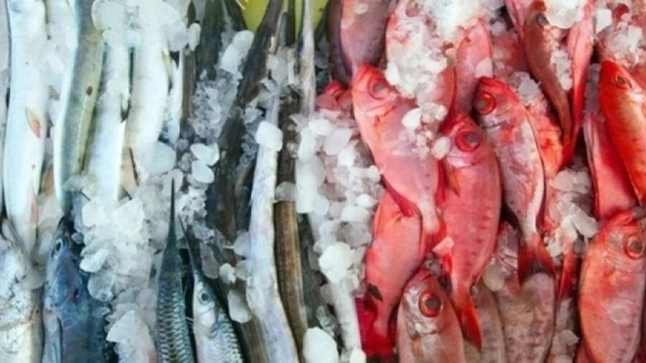 Главная картинка новости: Названа самая полезная рыба - ешьте 2 раза в неделю, богата селеном, фосфором и хороша на вкус