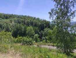 Синоптики рассказали о погоде в Коми на сегодня, 13 августа