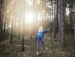 Этот ценный лесной дар теперь под запретом: россиянам запретили его собирать