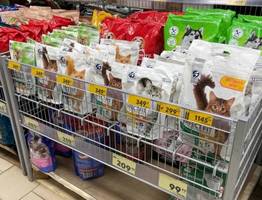 "Не травите этим кошек": в Роскачестве озвучили худшие марки корма для питомцев