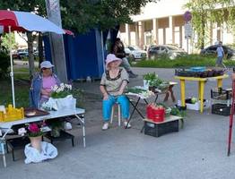 "С понедельника будет бесплатно для каждого пенсионера". Новая льгота вводится с 19 августа