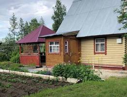 За мяту на даче придется заплатить: Дачников ждут огромные штрафы за мяту и шалфей