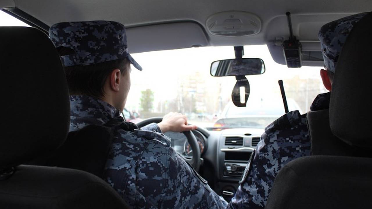 Главная картинка новости: В Коми росгвардейцы задержали мужчину, подравшегося в магазине