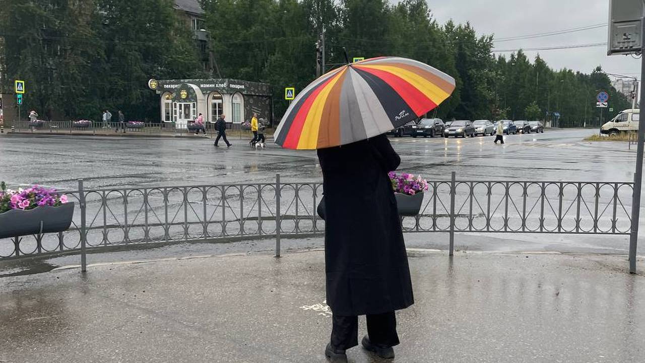 Главная картинка новости: Осень нагрянет раньше времени: аномальная волна похолодания накроет россиян уже на следующей неделе