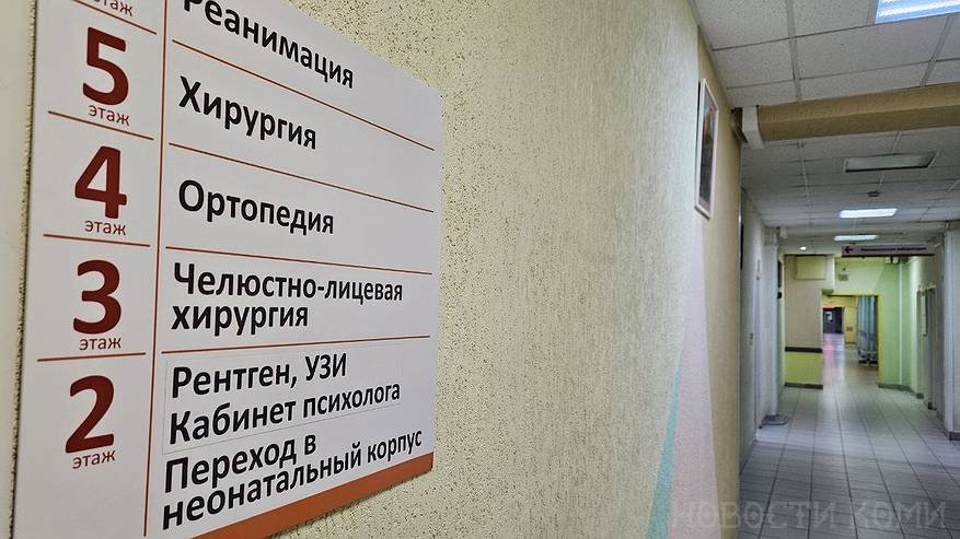 Главная картинка новости: За неделю в больницы Коми пришли 39 человек с укусами клещей