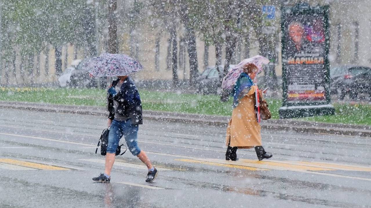 Главная картинка новости: «Начнется 26 августа и будет 13 дней подряд». Синоптики дали неожиданный прогноз