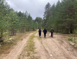 Синоптики рассказали о погоде в Коми на сегодня, 26 августа