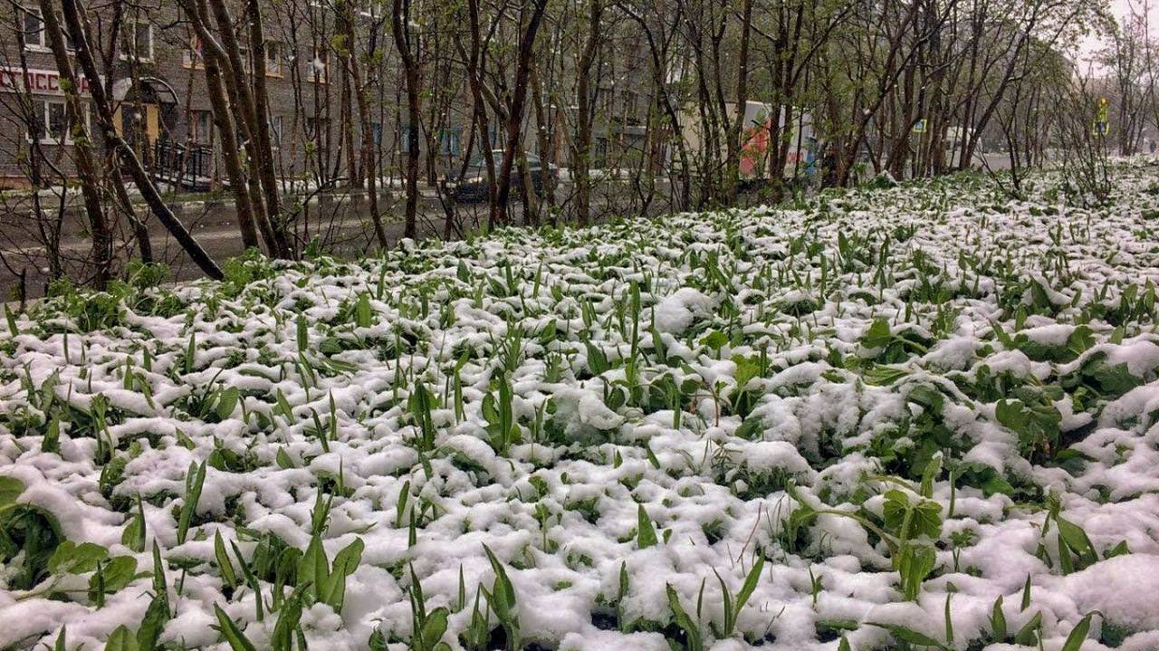 Главная картинка новости: "На нас надвигается волна аномального холода": погода с 1 сентября заставит достать куртки, температура упадет вниз