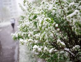 Нас ожидает небывалое похолодание: погода с 1 сентября заставит надет куртки - температура резко упадет вниз