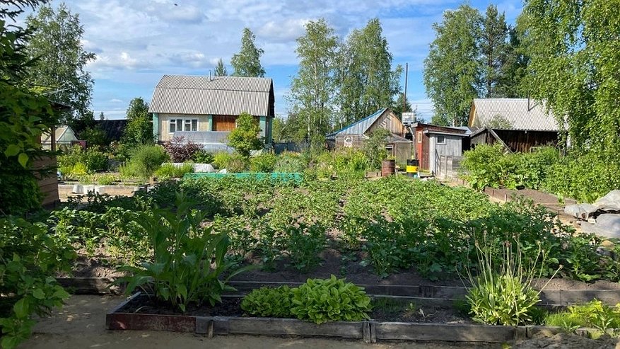 «Будут штрафовать». Озвучено, какие наказания грозят владельцам земельных участков