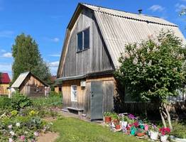 «Коснется каждого». Озвучено, за что могут оштрафовать владельцев дач