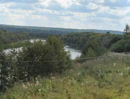 Синоптики рассказали о погоде в Коми на сегодня, 31 августа