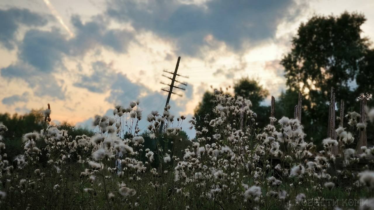 Главная картинка новости: Синоптики рассказали о погоде в Коми на сегодня, 6 сентября