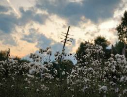 Синоптики рассказали о погоде в Коми на сегодня, 6 сентября