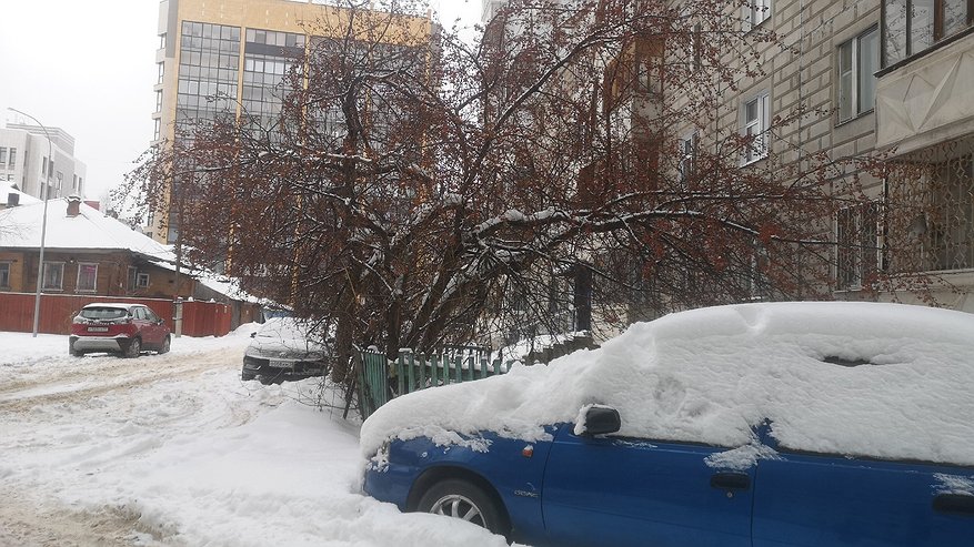 Даже не верится, что так быстро: синоптики сказали точную дату, когда выпадет снег