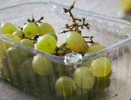 Эта ягода — самая вредная: а мы едим ее и покупаем как деликатес. Еще и детям даем есть