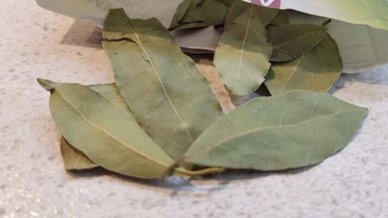 Главная картинка новости: Закапывают на огороде и кладут в унитаз: лавровый лист оказался полезнее, чем многие предполагали