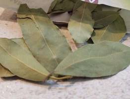 Закапывают на огороде и кладут в унитаз: лавровый лист оказался полезнее, чем многие предполагали