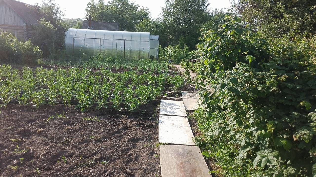 Главная картинка новости: Сумма будет крупной: дачникам рассказали о штрафах за прополку грядок