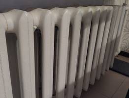 С первыми заморозками кладу лавровый лист на батарею — и живу без бед: вот что происходит — вся семья замечает разницу