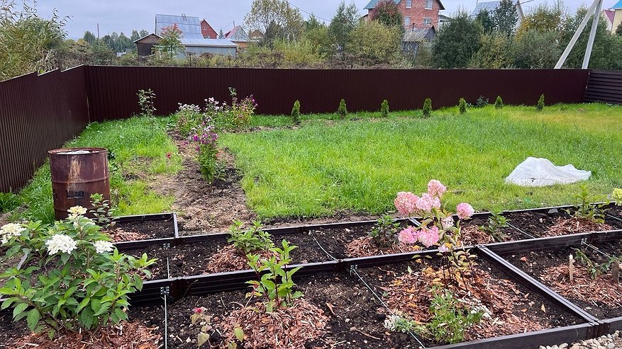 Всего одна горсть на грядки в сентябре – и почва станет плодородной без каких-либо удобрений в 2025 году