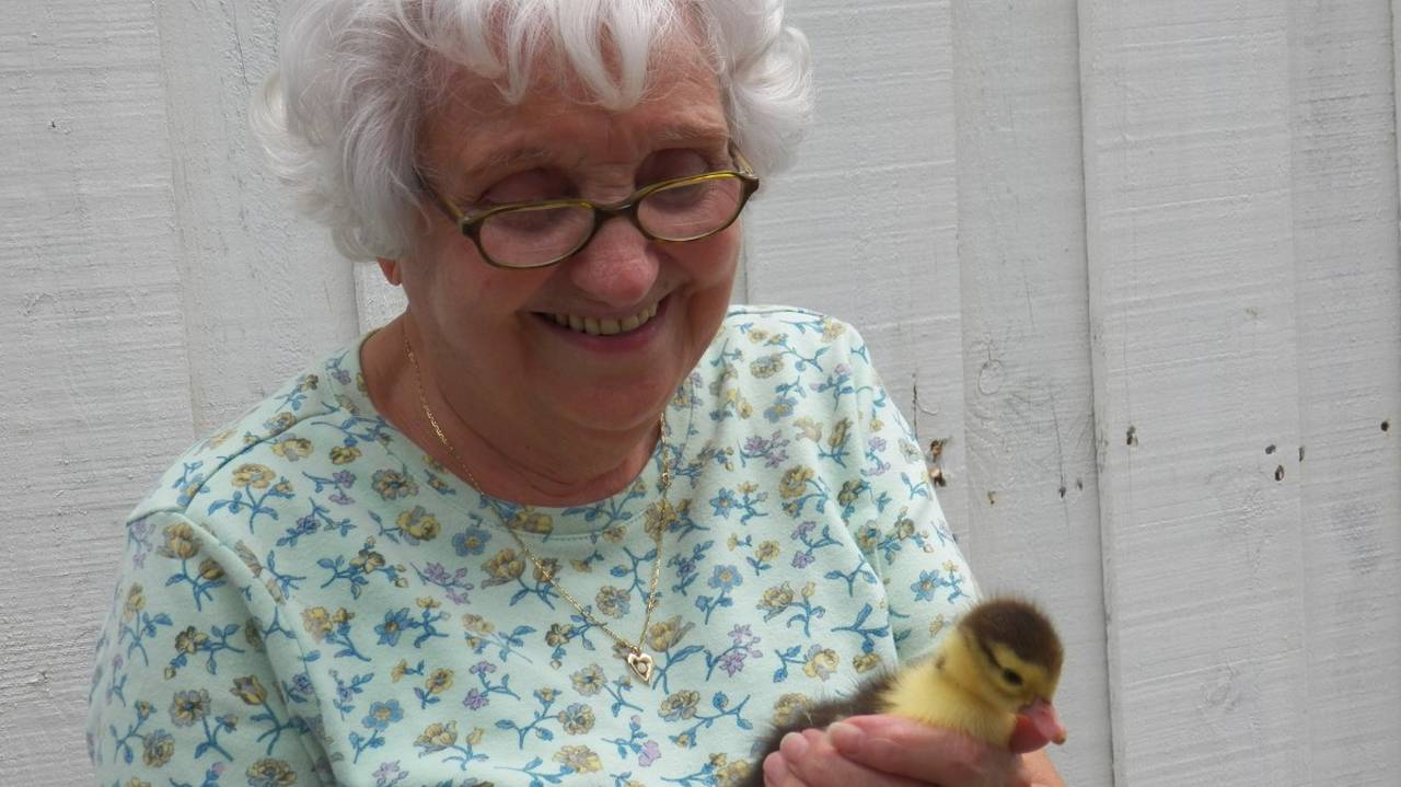 Главная картинка новости: В октябре пенсионерам поднимут пенсии до 40 тысяч: но не всем