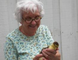 В октябре пенсионерам поднимут пенсии до 40 тысяч: но не всем