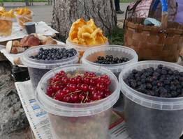 Эта ягода — самая вредная: а мы едим ее покупаем как деликатес, еще и детей заставляем это есть