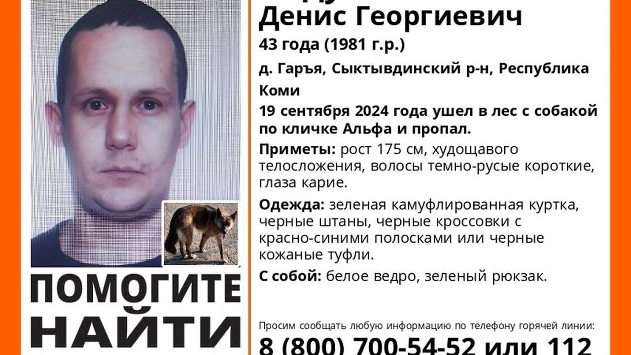 Главная картинка новости: В одном из районов Коми мужчина ушел в лес с собакой и пропал