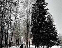 Снег нагрянет слишком рано и неожиданно: синоптики назвали дату когда стартанет зима