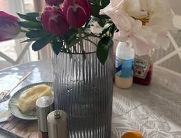 Высасывают все силы и здоровье: три растения-вампира, которые лучше не стоит держать дома