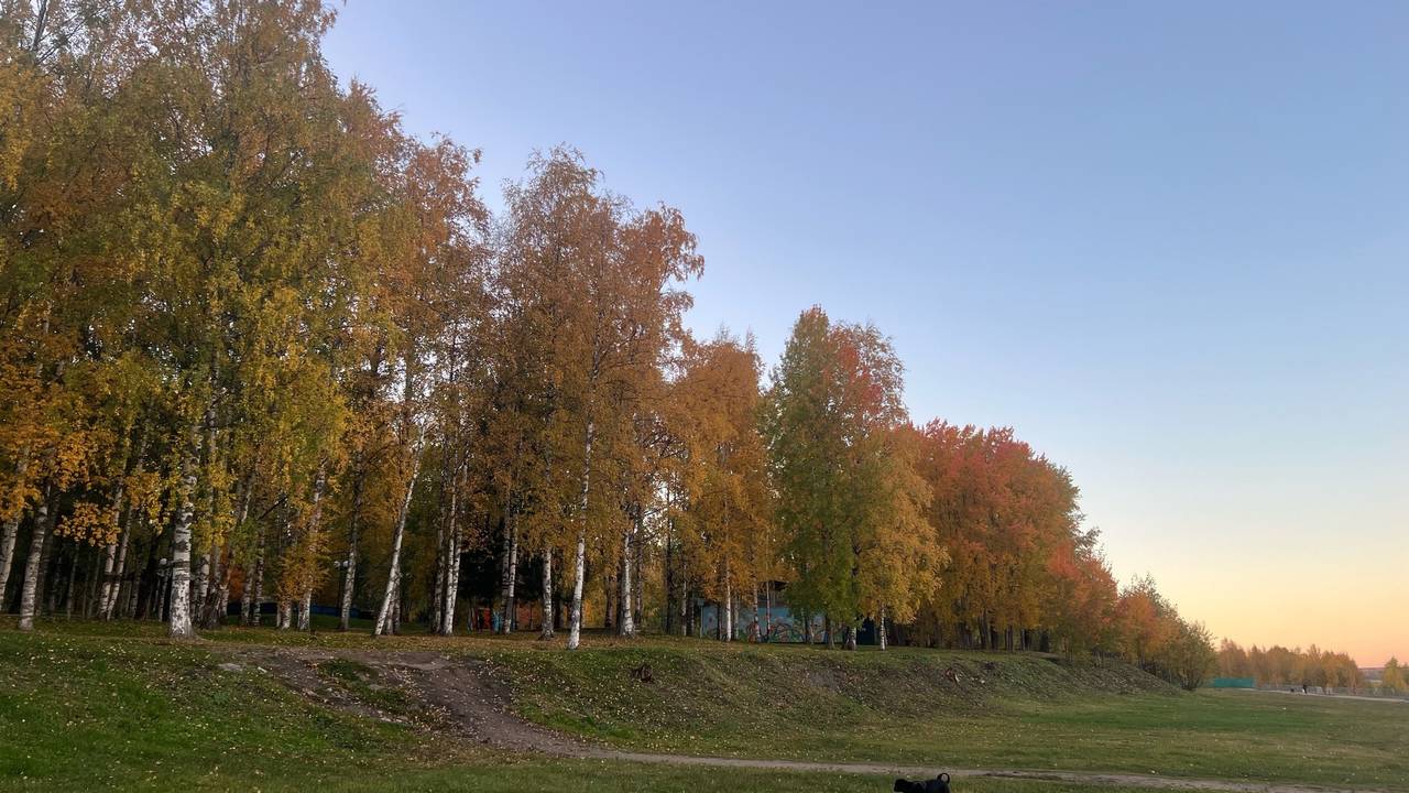 Главная картинка новости: «Аномальная жара вернется, но с новым сюрпризом». Синоптики дали очень неожиданный прогноз