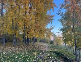 Синоптики рассказали о погоде в Коми на сегодня, 2 октября