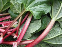 Овощ, который убивает почки: в Европе его не едят уже давно